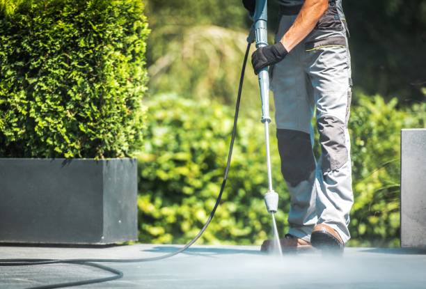 Best Restaurant Pressure Washing  in Lecanto, FL