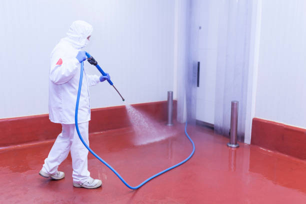Best Fleet Vehicle Washing  in Lecanto, FL