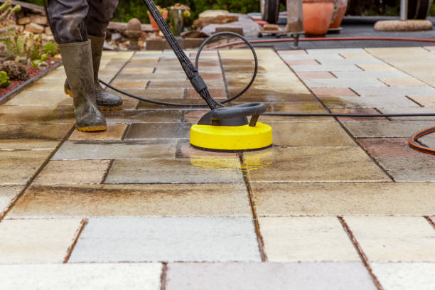 Best Animal Enclosure Cleaning  in Lecanto, FL