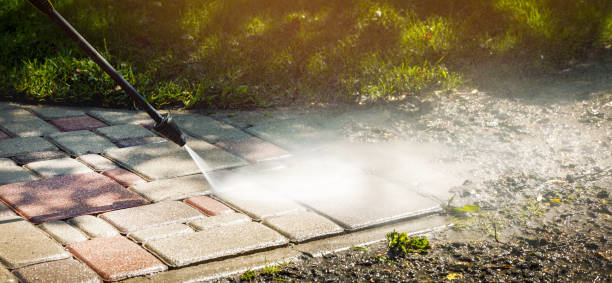 Best Graffiti Removal  in Lecanto, FL