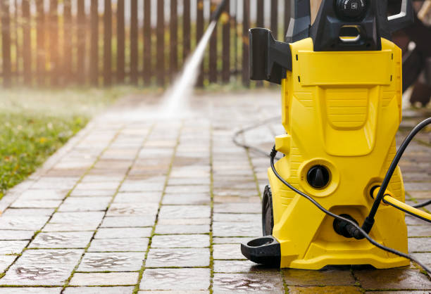 Animal Enclosure Cleaning in Lecanto, FL