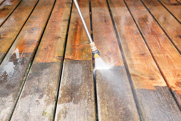 Best House Exterior Washing  in Lecanto, FL